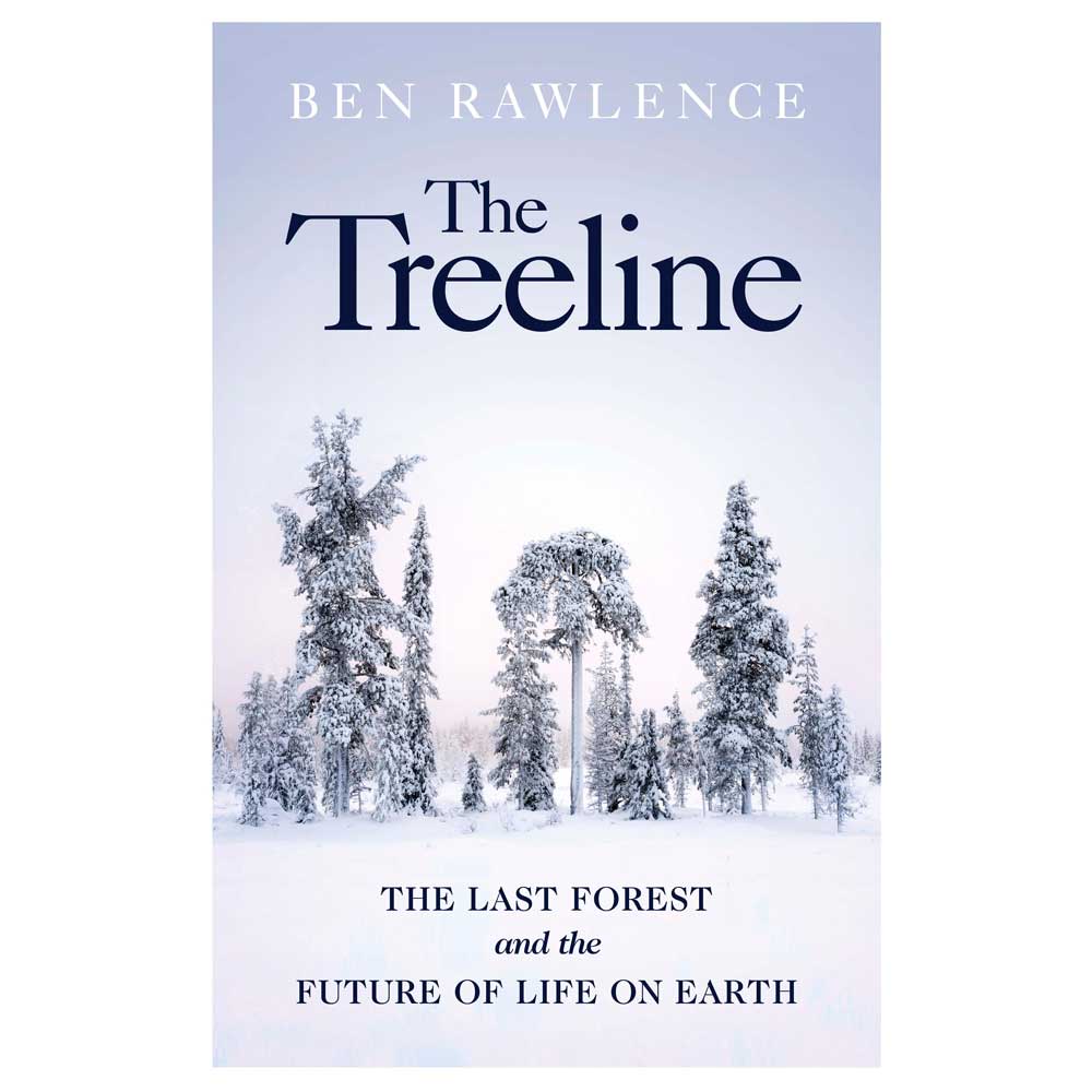The Treeline Ben Lawrence