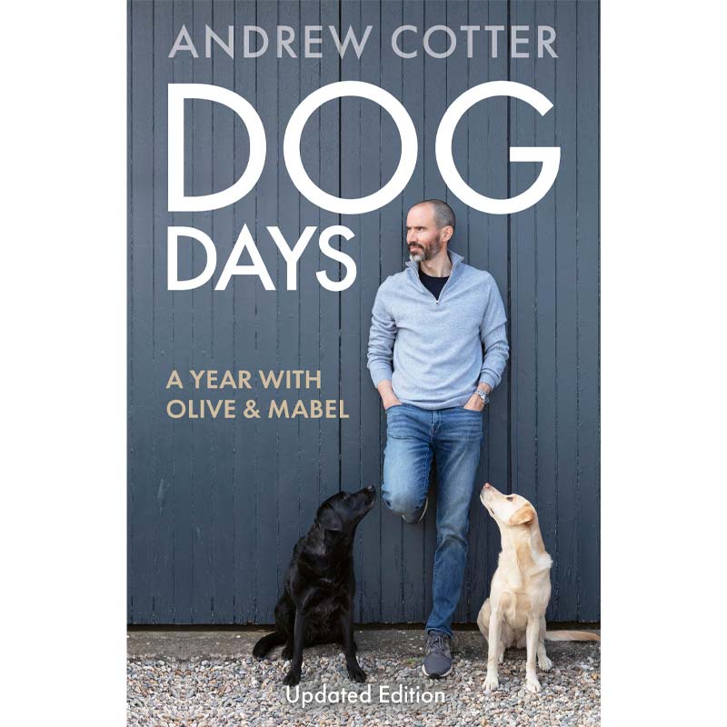 Andrew Cotter Dog Days